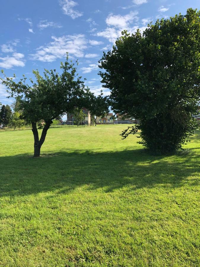 Vila The Walnut Tree Gite Le Dorat Exteriér fotografie